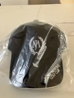 Item thumbnail for item 61b5034d-1f29-4bdc-9a17-0bedddd3a693