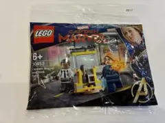 Item thumbnail for item f0911805-d8cc-46d2-9f9c-0726e5498e91