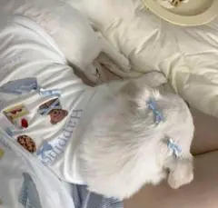 ソレイユ♡様