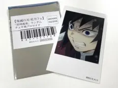 Item thumbnail for item 8cfcc378-6921-4215-a53a-9dd9d8702a8d