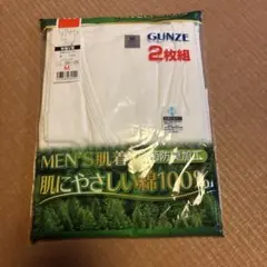GUNZE Ｖネック　Ｍ　2枚組