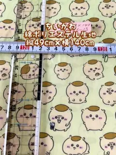 Item thumbnail for item cce840e1-b938-4e95-906a-5a20882c015e