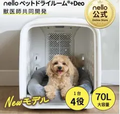 Item thumbnail for item 6c987402-42ea-4b9b-a434-a5cba755b544
