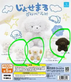 じょせまる ぬいぐるみ ガチャガチャ おぱんつ らて　黒　まとめ売り