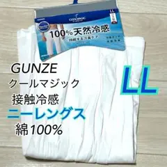 LL【新品】グンゼ　クールマジック　ニーレングス　綿100% ホワイト×1枚