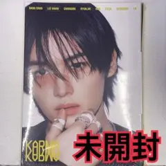 リノ　アルバム　accordion 未開封　KARMA スキズ　①