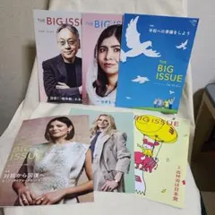 雑誌 the big issue 494～499号 6冊セット