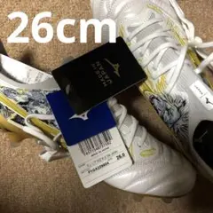 モレリアNeo3β SR4 JAPAN 26cm