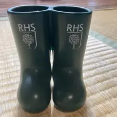 RHS 英国王立園芸協会 長靴 ブーツのペン立て