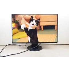 追加購入分　超狭額　EIZO　EV2456　24型　WUXGA　HDMI　IPS