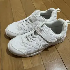 瞬足　24cm 白