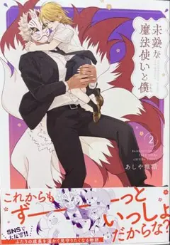 未熟な魔法使いと僕②／あしや稚浩