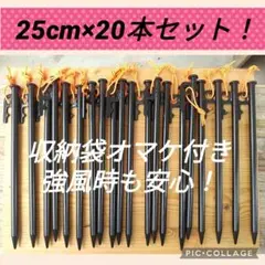 25cm スチールペグ 風に強い 安定感抜群 新品未使用送料込み