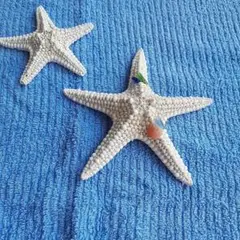【オマケ付き】天然ヒトデ.処理済み.臭い無し. 夏インテリアに♪︎