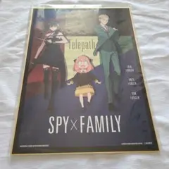 スパイファミリー　SPY×FAMILY　色紙　ロイド　ヨル　アーニャ