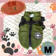Item thumbnail for item 686a1561-dc3e-429e-8773-dc0bb4174df4