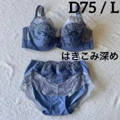 トリンプ ブラジャー　プレミアム ゴールドレーベル4002＆ショーツ　D75/L