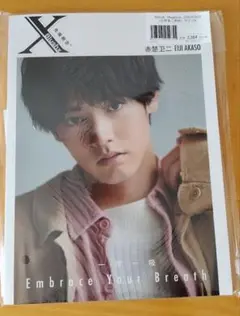 赤楚衛二　中国限定　bilibili ぬいぐるみ 赤楚衛二 bilibili 中国限定 公式 BIGぬいぐるみ クリスマス