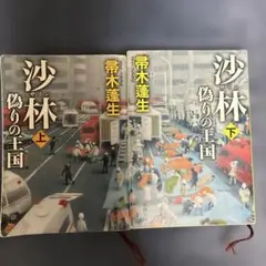 沙林 偽りの王国(上)（下）