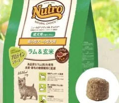 Item thumbnail for item 1ded5eac-dbf8-4a1e-84d8-87d67fd98173