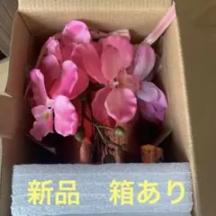 人感センサー付き LEDライト 〜胡蝶蘭 グリッターグラス〜
