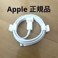 最終価格　iPhone 正規品　充電器　純正ケーブル