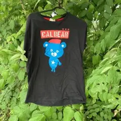 CALBEAR tシャツ