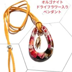 Item thumbnail for item 8555a311-f68b-4fd7-ba21-6ea8bfec93d9