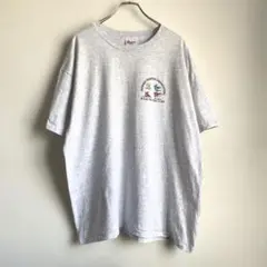 90s USA製 ウォーキングイベント プリントTシャツ 企業 hanes