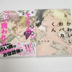 世話焼きヤンキーは金で買われる かわいいおバカくん