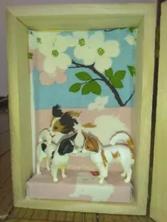 パピヨンボックス