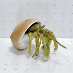 みずべのなかま ホンヤドカリ フィギュア