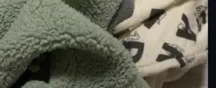 すいちゃん