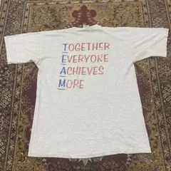90s シングルステッチ USA製 TEAM メッセージ アート Tシャツ