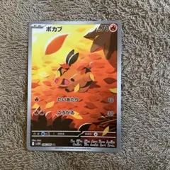 ポケモンカード　ポカブAR