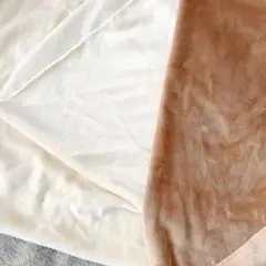 もっちり ボア生地 2枚セット