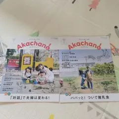 月刊赤ちゃんと　2冊セット