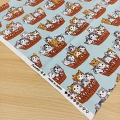 ★B269★ メイドインジャパン/ブランド/プリント生地/50cm