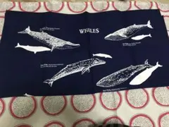 nature facts バンダナ　新品