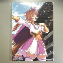 テイエムオペラオー road to the top ブロマイド 3枚セット