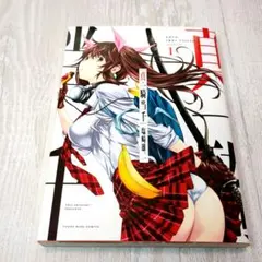 一騎当千全巻(1〜24巻＋真一騎当千1〜4巻) 一騎当千全巻(1〜24巻＋真一騎当千1〜4巻) Amazon.co.jp: