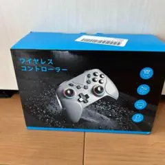 コントローラー Switch1/2代対応 ダブルホール機能 TURBO連射機能