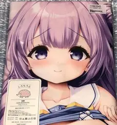 正規品 新品 アズールレーン ユニコーン抱き枕カバー Ver.2/水鏡まみず