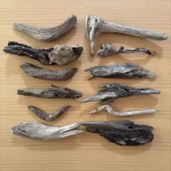 Item thumbnail for item 4c81bce7-d66e-41d5-b1e6-cf057609e669