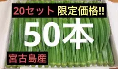 ❶ 【50本】宮古島産 おくら オクラ
