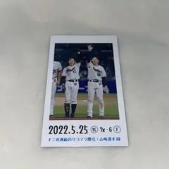 【東京ヤクルトスワローズ】ファン感 チェキ風カード 山崎 長岡