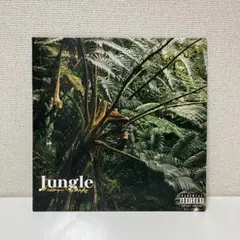 ¥ellow Bucks / JUNGLE / LP 限定緑クリアバイナル ellow Bucks / JUNGLE / LP 限定緑クリアバイナル 邦楽