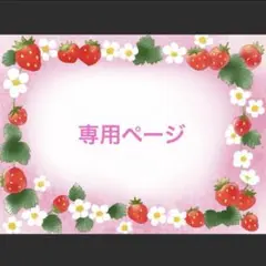 専用ページ