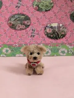 モールアート　ぬいぐるみ　トイプードル　テリア　マルプー　ミニチュア　モールベア