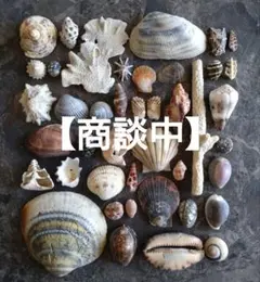 【商談中ページ】⑧